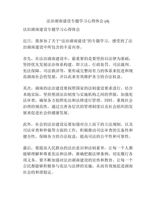 法治湖南建设专题学习心得体会 (4)