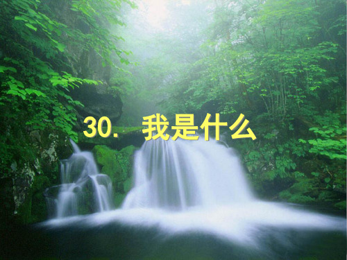 二年级语文课件《我是什么》