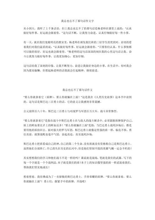 我总也忘不了那句话作文