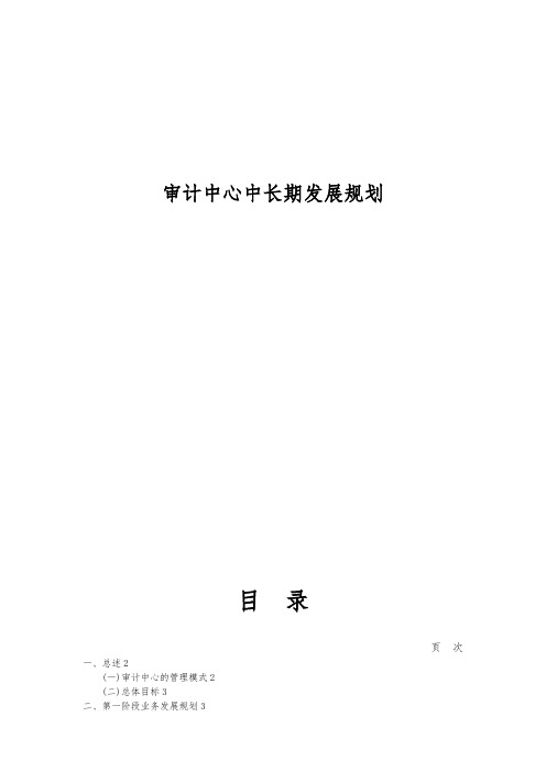 审计中心中长期发展规划
