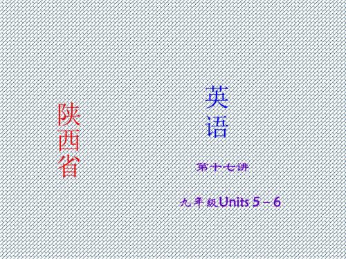 2015年中考英语(人教版·陕西)考点精讲课件第17讲+九年级Units5-6