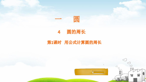六年级上册数学PPT教材-圆的周长第2课时-北师大版