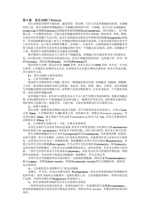 第9章原生动物门Protozoa