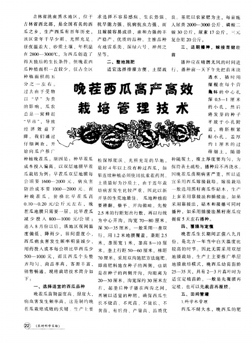 晚茬西瓜高产高效栽培管理技术