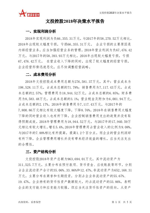文投控股2018年决策水平分析报告-智泽华