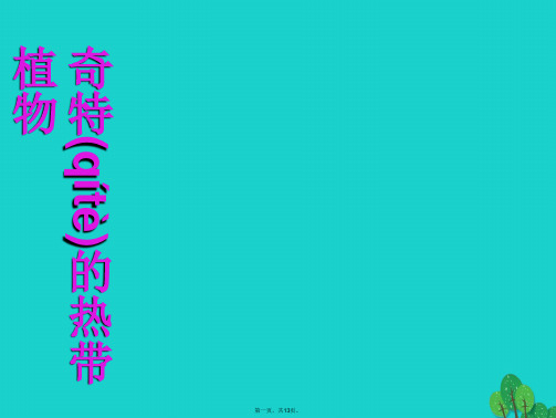 三年级美术上册第14课奇特的热带植物课件2岭南版