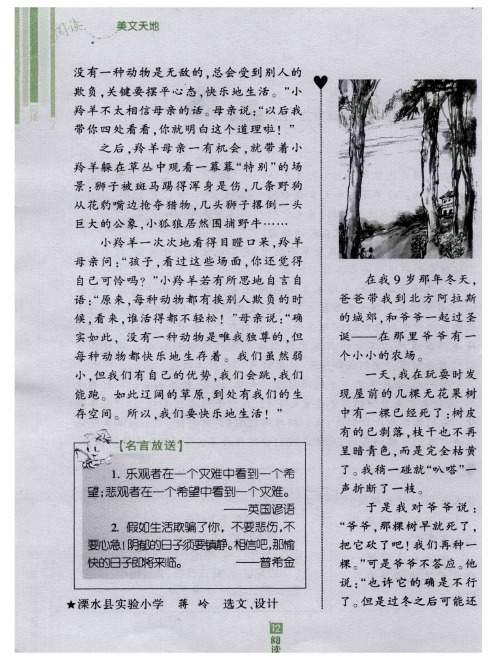 冬天,你不要砍树