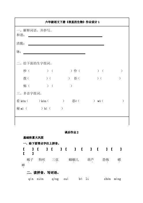 六年级语文下册《表里的生物》课后练习题(附答案)