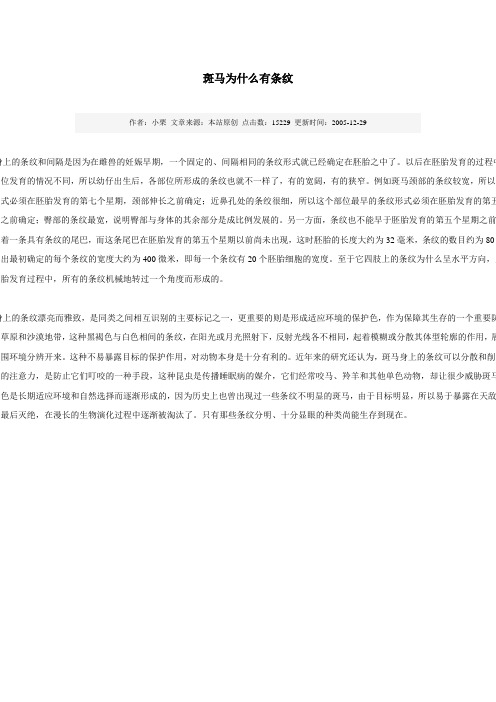 斑马为什么有条纹