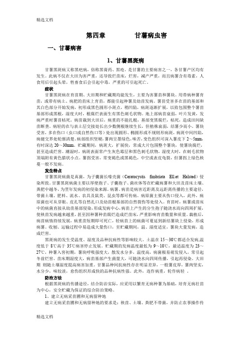 2020年第四章+甘薯病虫害精品版