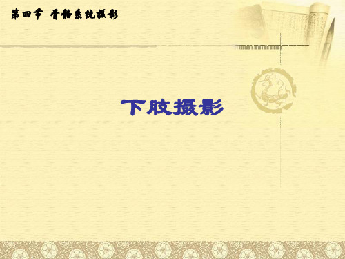 标准放射X线拍摄体位下肢ppt课件
