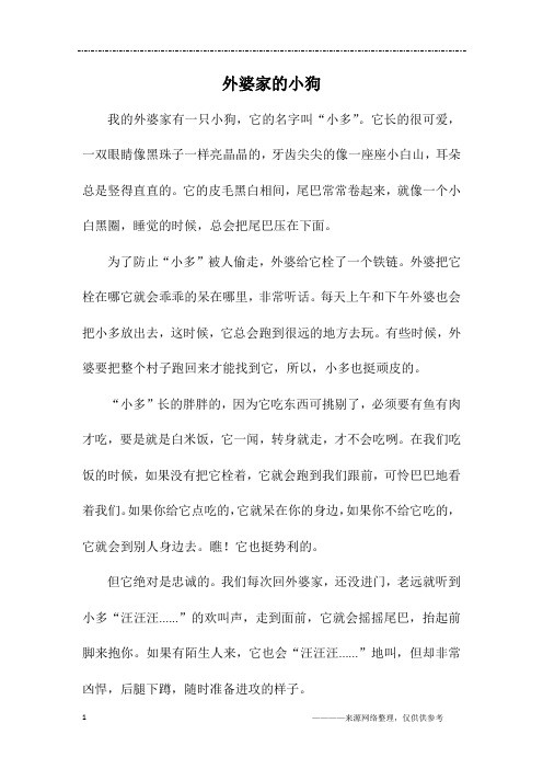外婆家的小狗