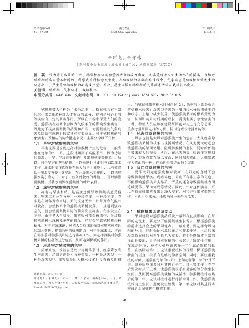 试论猕猴桃的气象病害防治及栽培技术要点