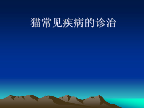 猫常见疾病的诊治