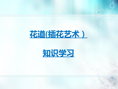 插花艺术知识学习