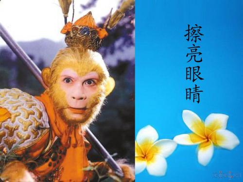 新苏教版四年级思想品德与社会我的擦亮眼睛市级公开课课件