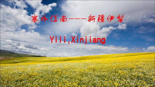 伊犁PPT