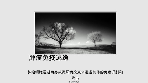 肿瘤免疫逃逸PPT课件