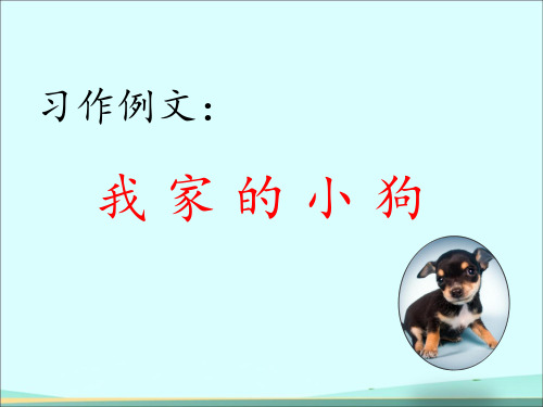 新统编教材小学语文三年级上册《习作例文：我家的小狗》PPT