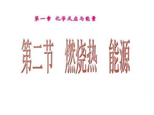 第二节-燃烧热-能源PPT1