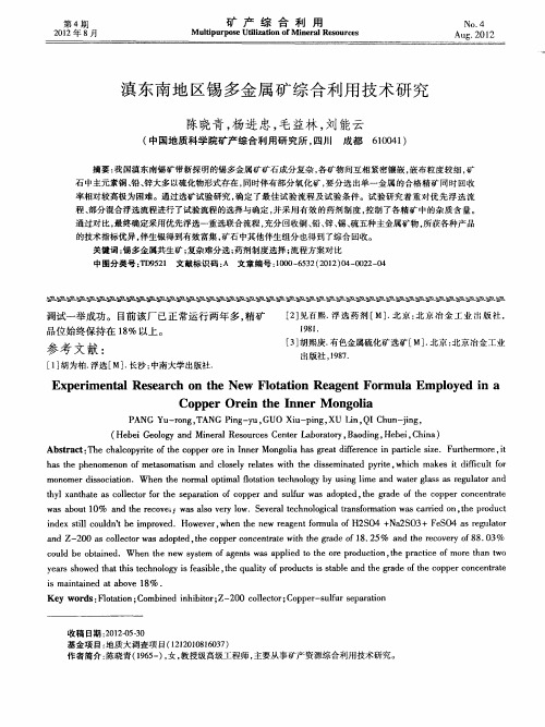 滇东南地区锡多金属矿综合利用技术研究