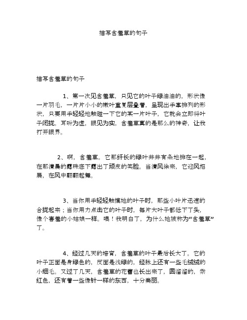 描写含羞草的句子