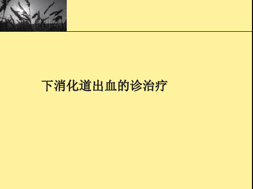 下消化道出血的诊治疗