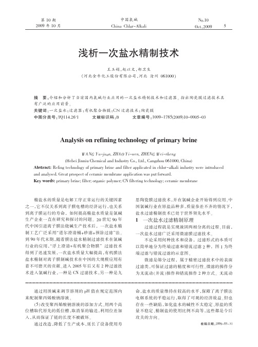 浅析一次盐水精制技术