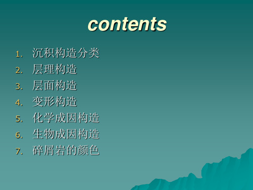 第五章沉积构造