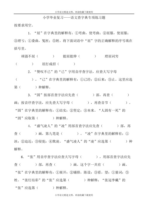 小学毕业复习——语文查字典专项练习题