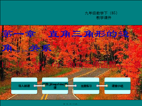 九年级数学下册第一章直角三角形的边角关系1.230°,45°,60°角的三角函数值教学