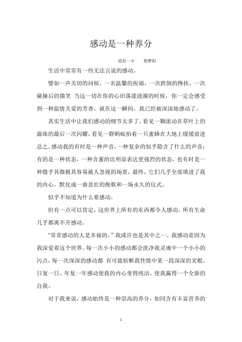 感动是一种养分