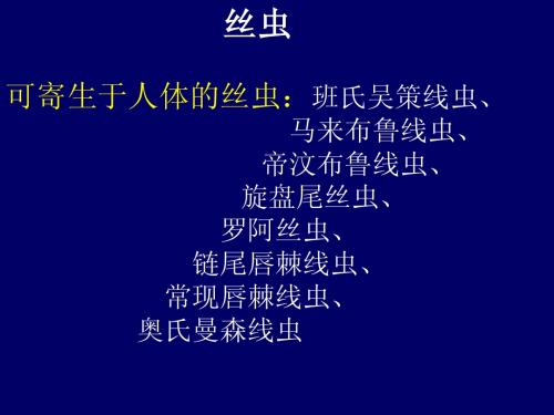 丝虫