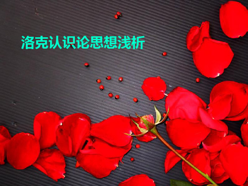 洛克