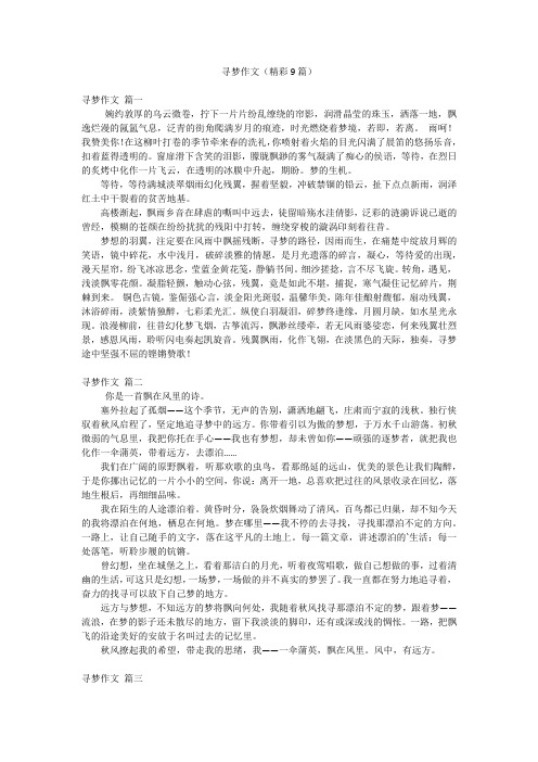寻梦作文(精彩9篇)