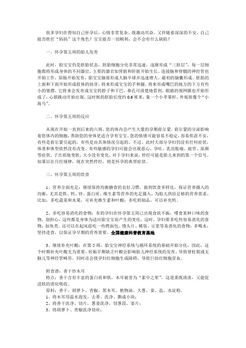 怀孕第5周指导