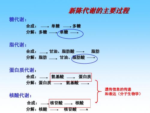 杨荣武生物化学原理-南京大学-糖酵解