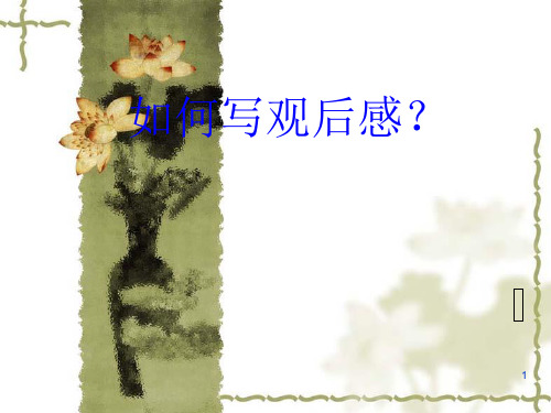 观后感的写作(课堂PPT)
