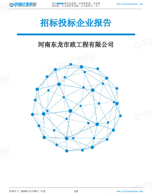 河南东龙市政工程有限公司-招投标数据分析报告