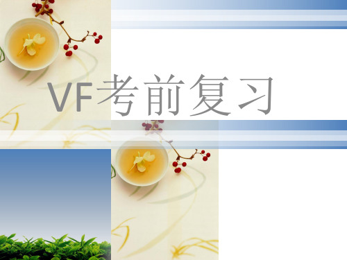 VF复习资料