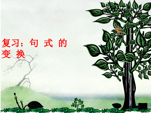 直述句改转述句_课件