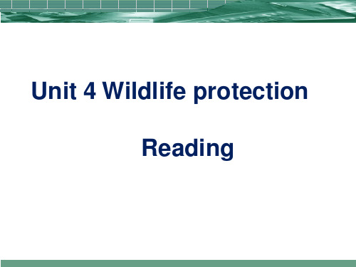 Unit 4 Wildlife protection Reading 课件