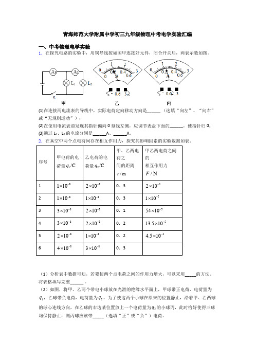 青海师范大学附属中学初三九年级物理中考电学实验汇编