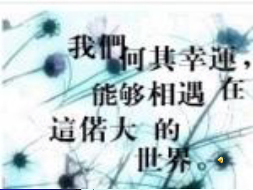 令人厌烦的噪声4