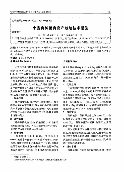 小麦良种繁育高产栽培技术措施