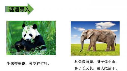 部编二上识字《3.拍手歌》