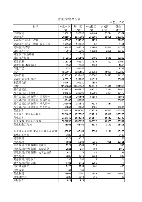 建筑业财务情况表