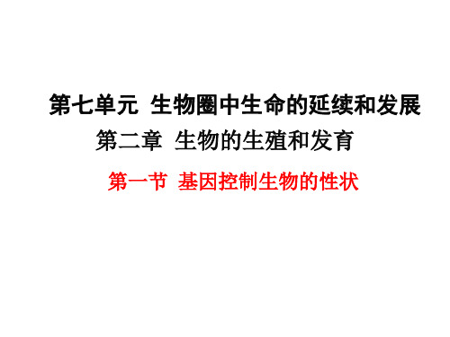 人教版初中八年级生物下册第七单元第二章-生物的遗传与变异第一节 基因控制生物的性状-经典PPT教学课