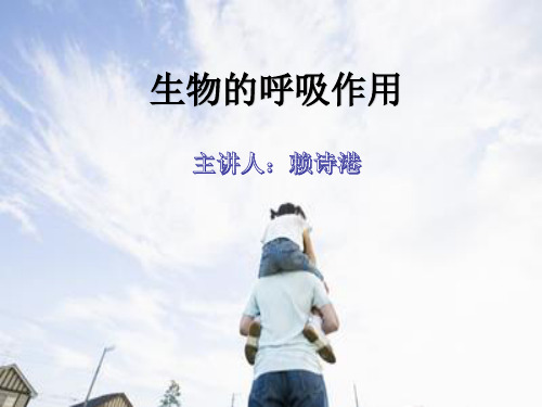 浙教版科学八年级下册   3.5  生物的呼吸和呼吸作用(32张PPT)
