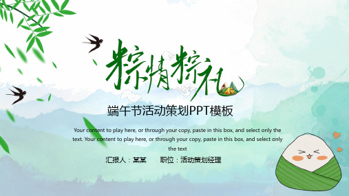 粽情粽礼端午节活动策划PPT模板